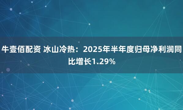 牛壹佰配资 冰山冷热：2025年半年度归母净利润同比增长1.29%