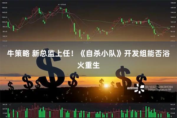 牛策略 新总监上任！《自杀小队》开发组能否浴火重生
