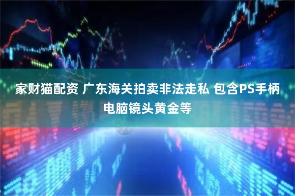 家财猫配资 广东海关拍卖非法走私 包含PS手柄电脑镜头黄金等